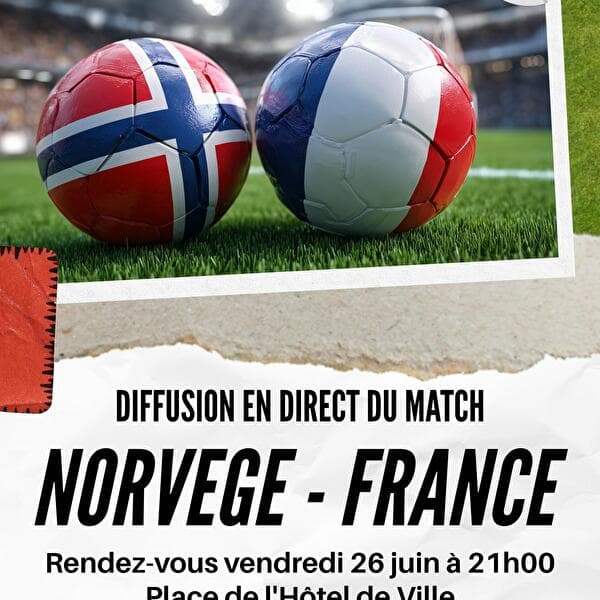 World Cup football Norway - France