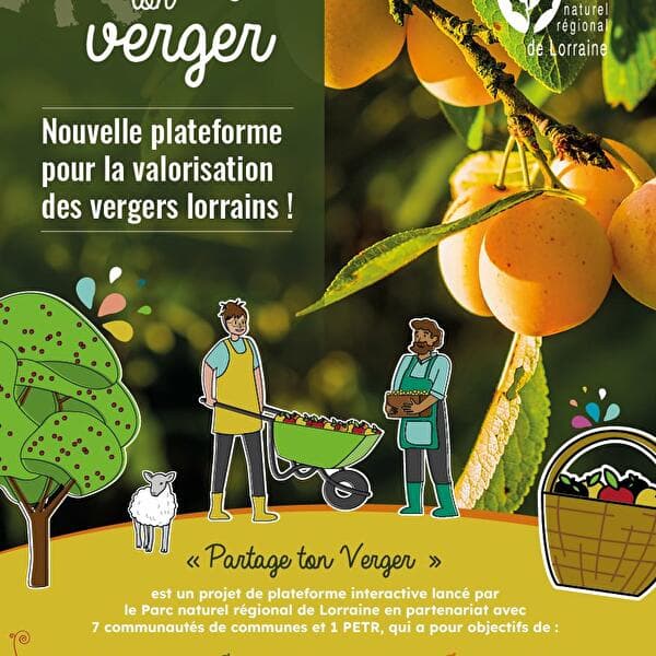 Share Your Orchard: A Platform to Promote Lorraine's Orchards!