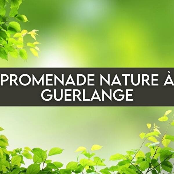 Nature walk in Guerlange