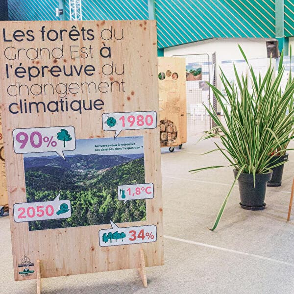 Forests of Grand Est Facing Climate Change