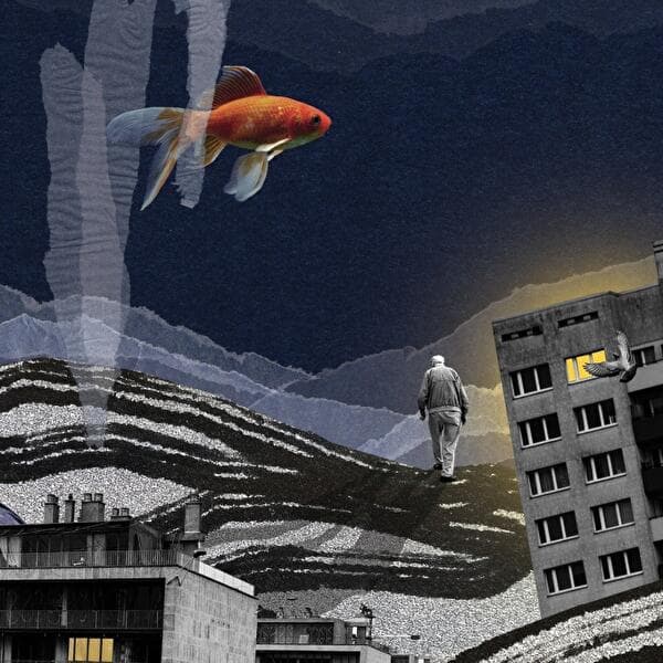 Les Veilleuses