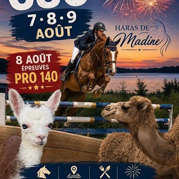 Concours de saut d’obstacles