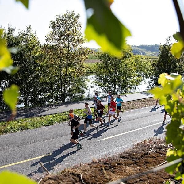 Route du Vin