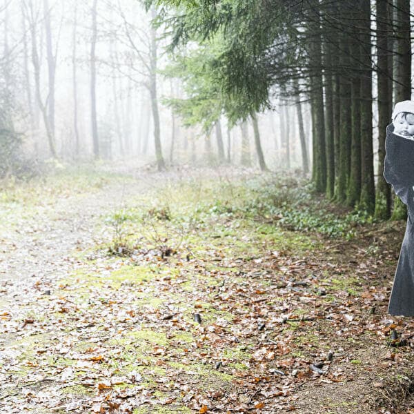 In the Footsteps of the Battle of the Bulge