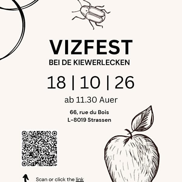 Vizfest