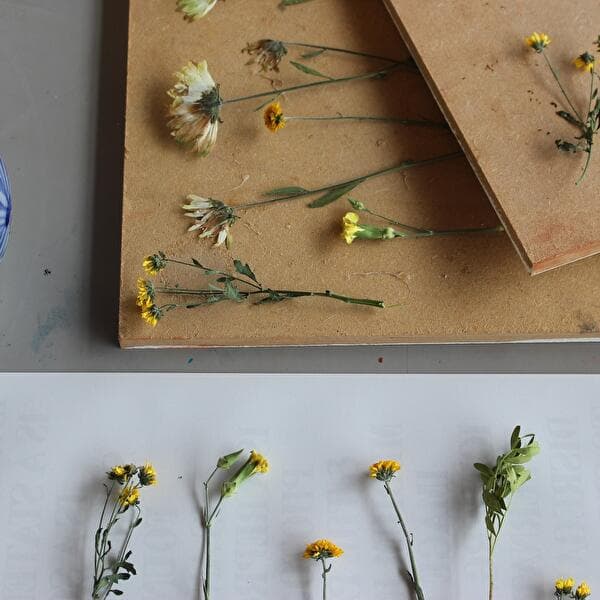 Make a flower press
