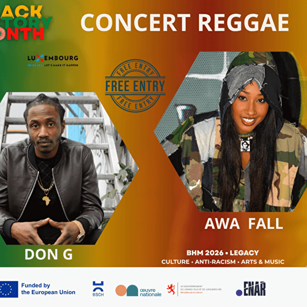 Reggae concert