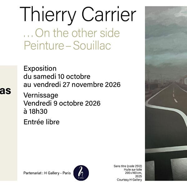 Exposition - Thierry Carrier « ... On the other side »