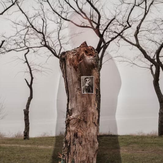 L’avenir du passé de la photographie