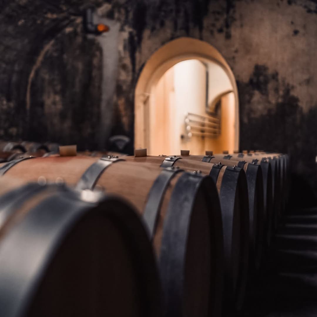 Domaines Vinsmoselle : visites, dégustations et caves au Luxembourg