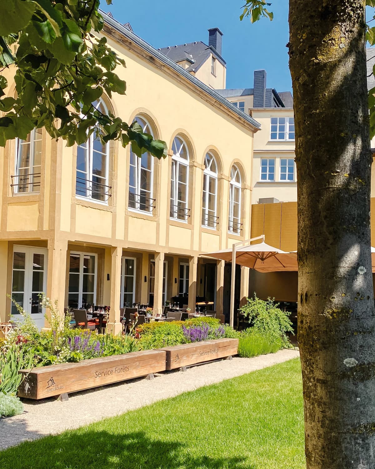 L'Hêtre Beim Musée, la brasserie la plus gourmande de Luxembourg-Ville - 1