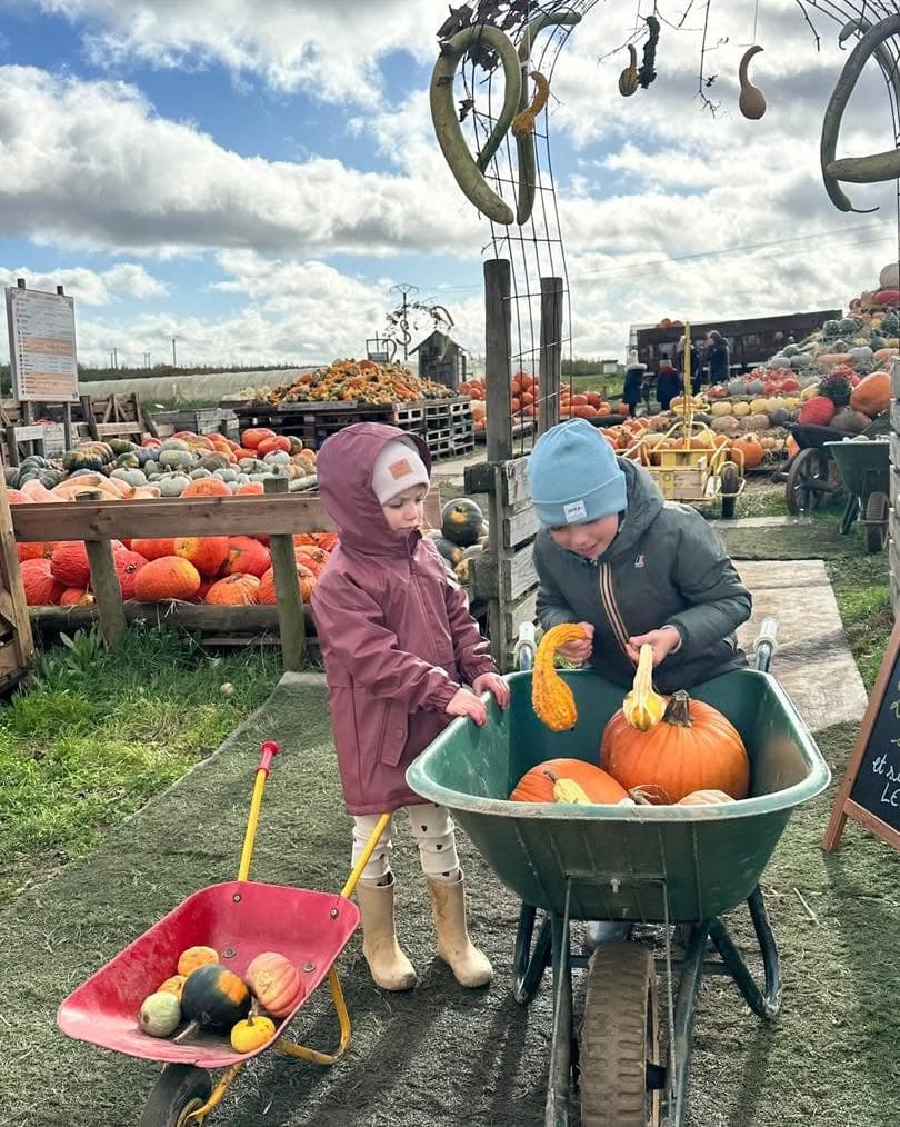 Cueillette de Peltre: apples, pumpkins and seasonal vegetables - 2