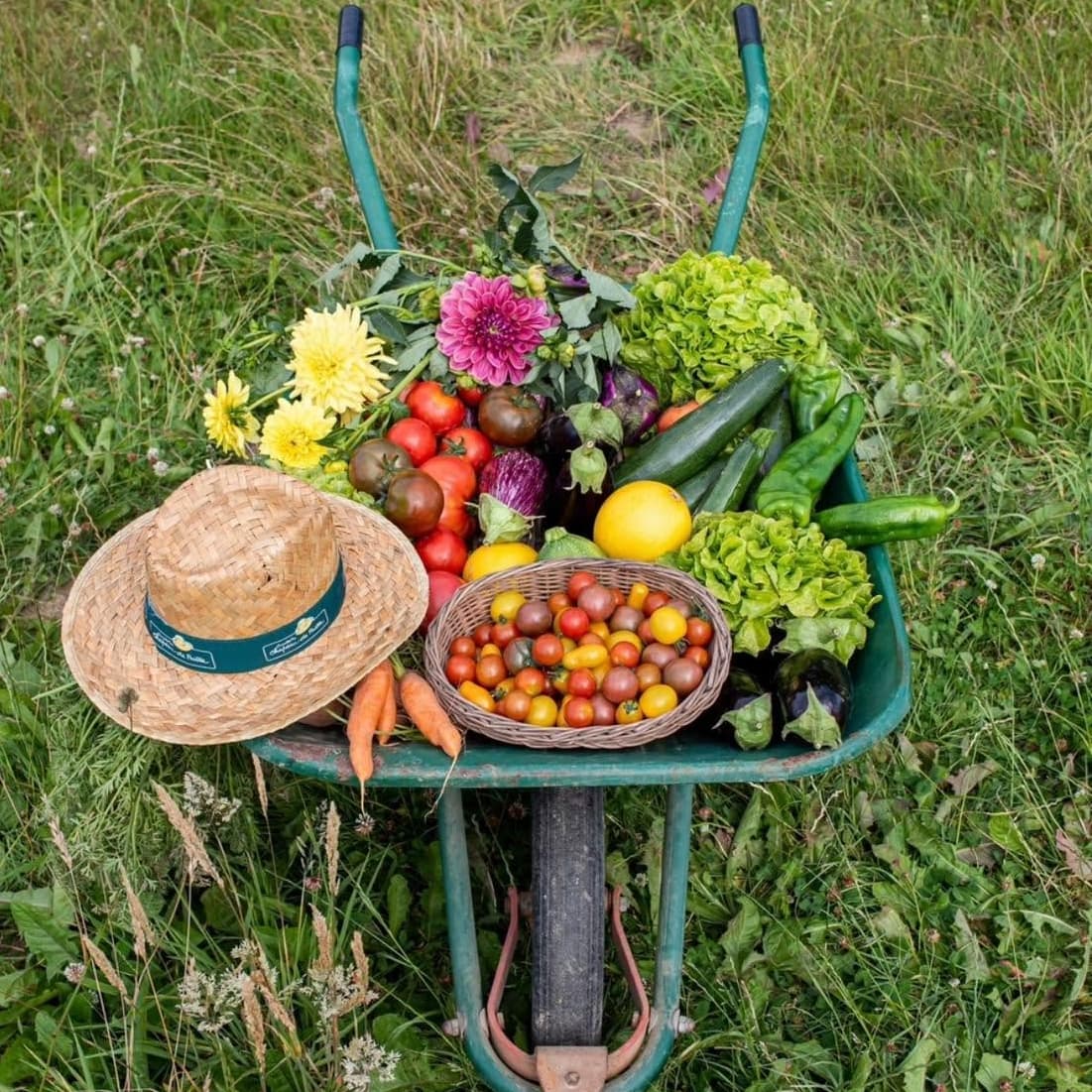 Cueillette de Peltre: apples, pumpkins and seasonal vegetables - 1