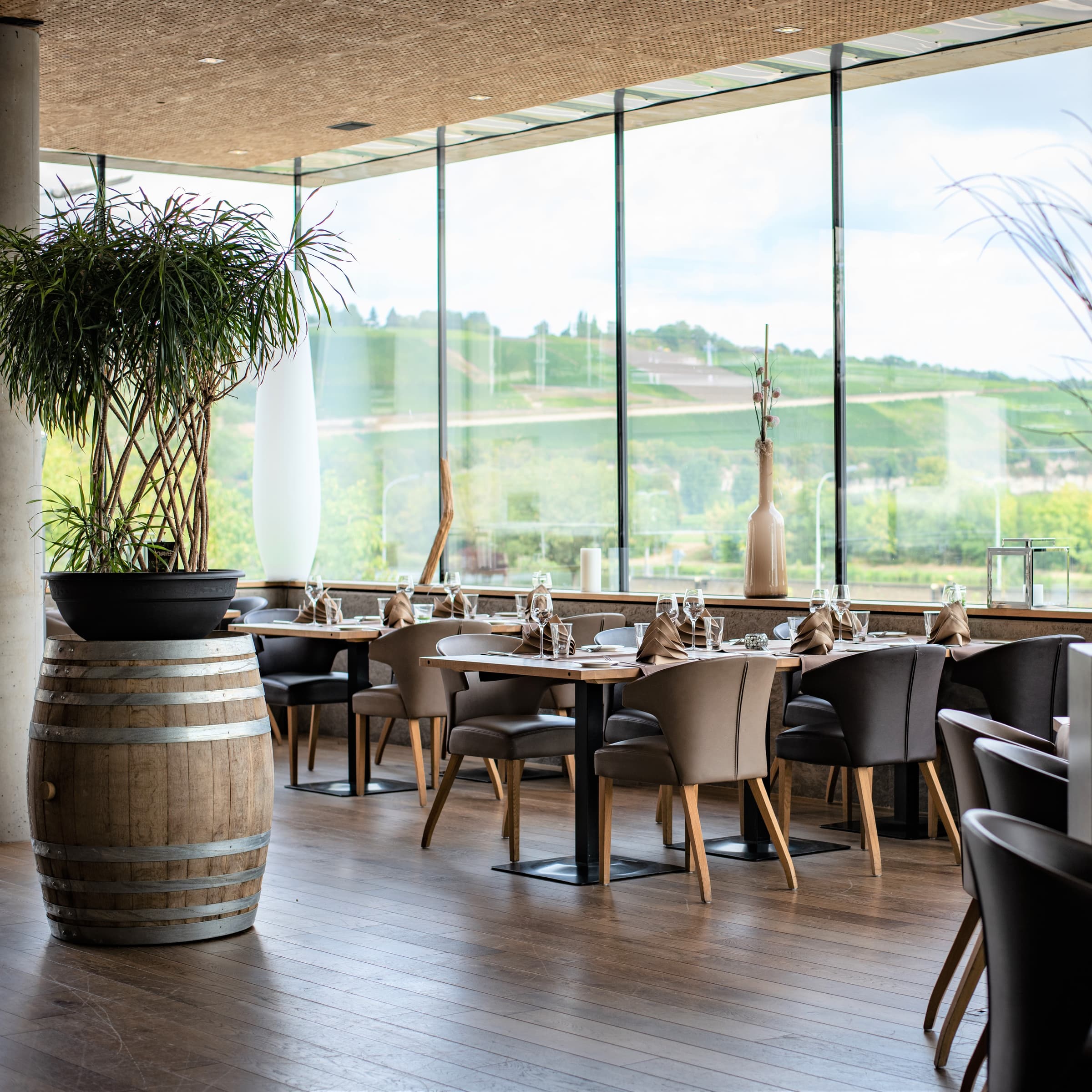 Hôtel-Restaurant de l'Écluse: view over the vineyards and the Moselle