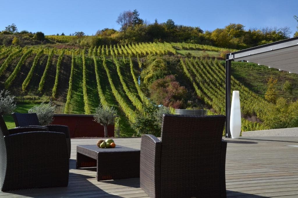 Hôtel-Restaurant de l'Écluse: view over the vineyards and the Moselle - 2