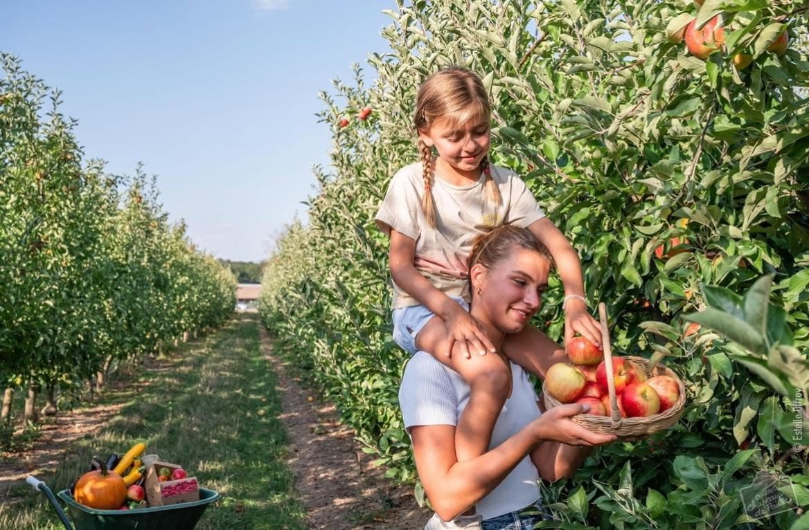 Cueillette de Peltre: apples, pumpkins and seasonal vegetables - 8