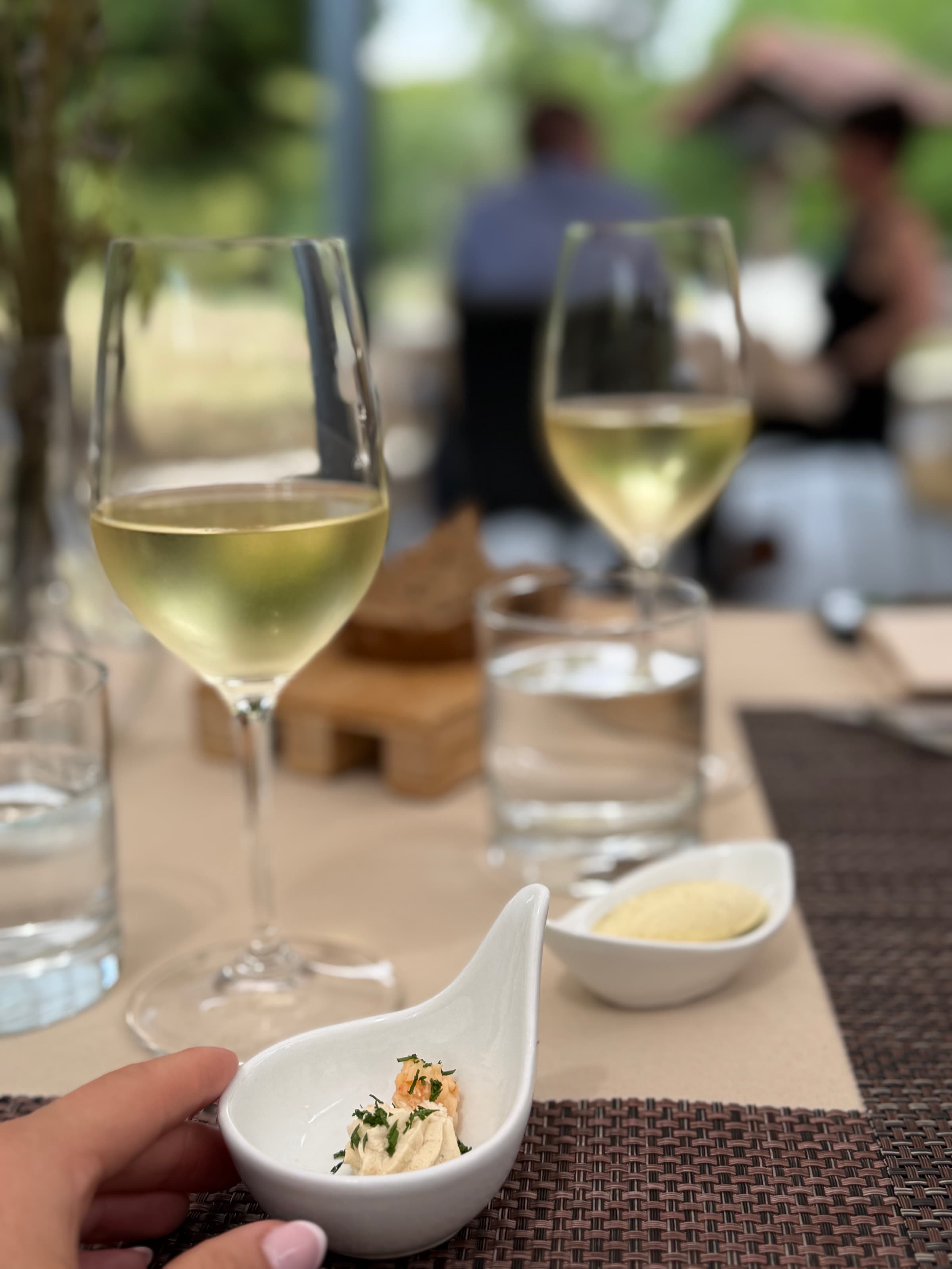 Radix : cuisine gastronomique et terrasse au cœur de la nature - 2