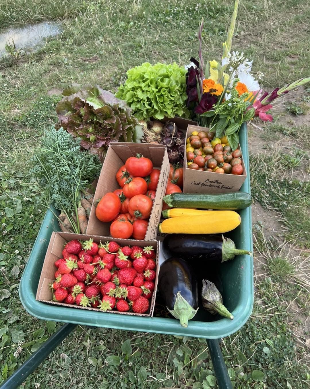 Cueillette de Peltre: apples, pumpkins and seasonal vegetables - 5