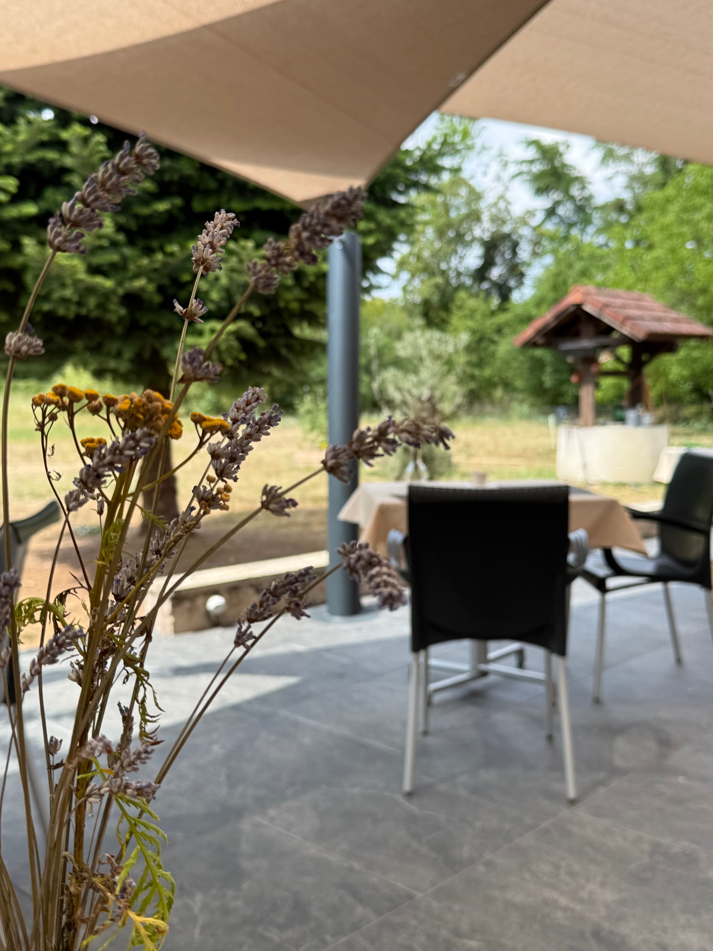 Radix : cuisine gastronomique et terrasse au cœur de la nature - 3