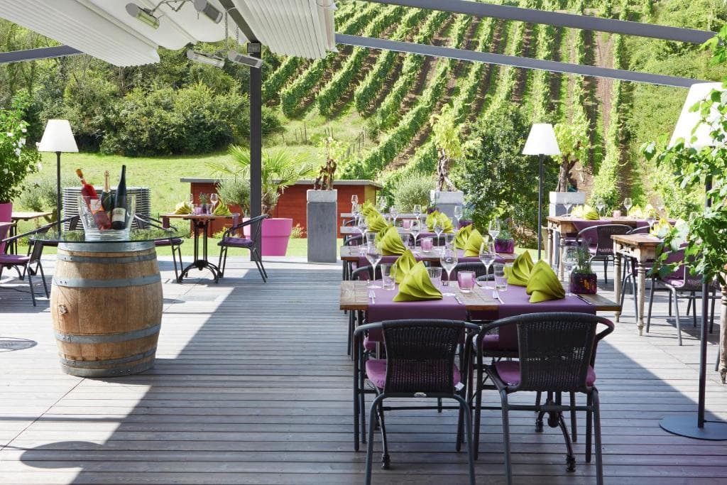 Hôtel-Restaurant de l'Écluse: view over the vineyards and the Moselle - 3