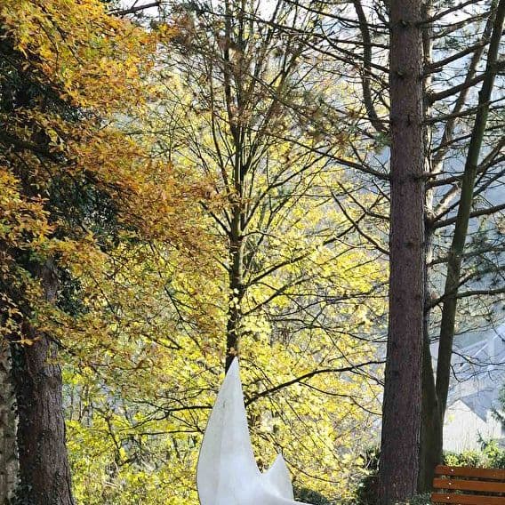 Sculpture Park and Roses Garden