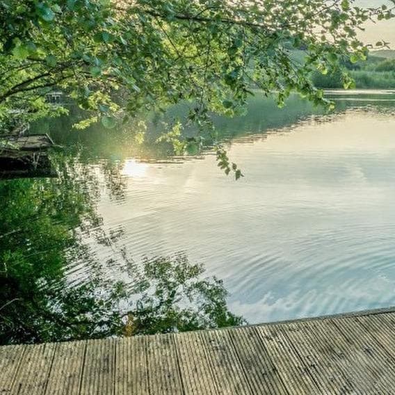 Take a walk in the nature reserve