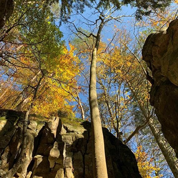 The magic and timeless hike