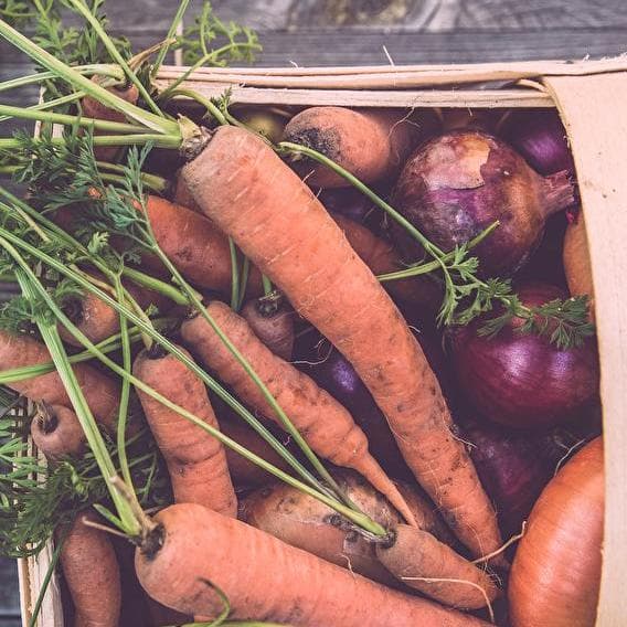 Pour une Bio-nne alimentation