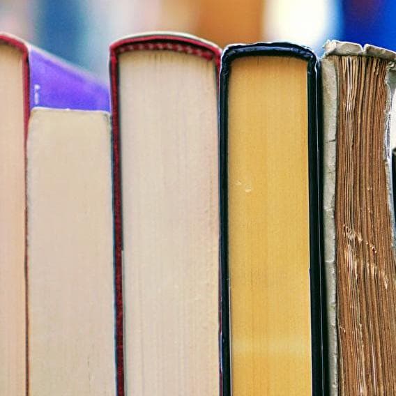 Lire c'est pas du Lux !