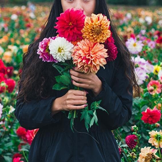 Bulbe, Fleur et ReBelle Super Flowers