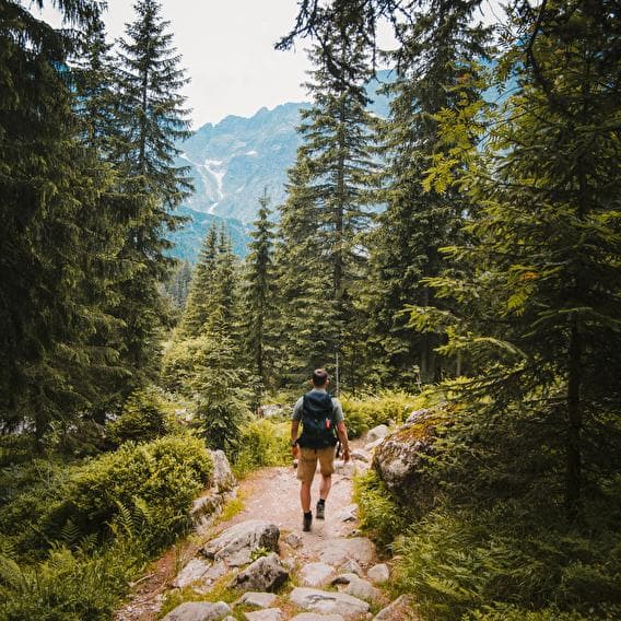 Dream hike