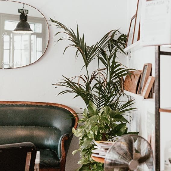 Comme le quartier de Los Angeles