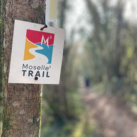 Moselle³-Trail: 33 km and 3 countries