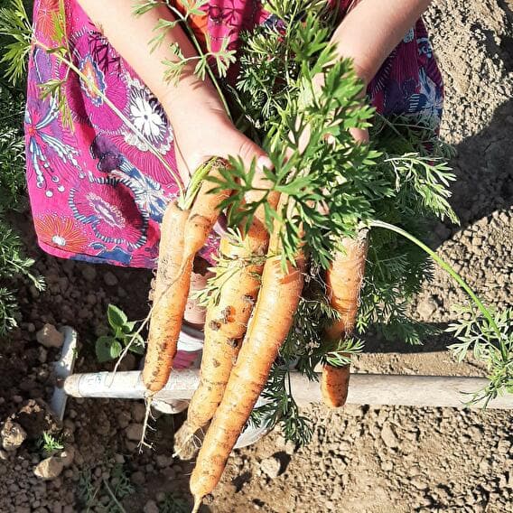 From the garden to the farm: get your hands dirty!