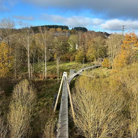 The Bird Bridge - 1