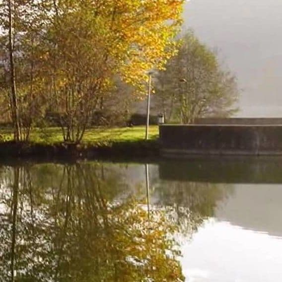 Du vert et de l'eau