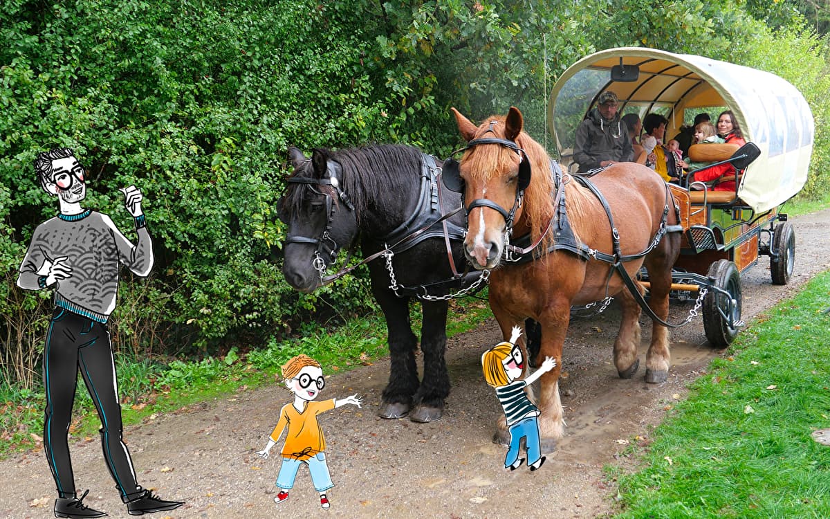 Nature Festival "Kockeldiko": an unforgettable day with the family